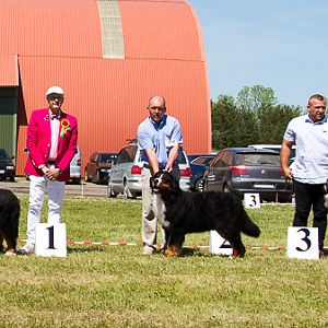 IMG_4146