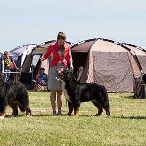 IMG_4153