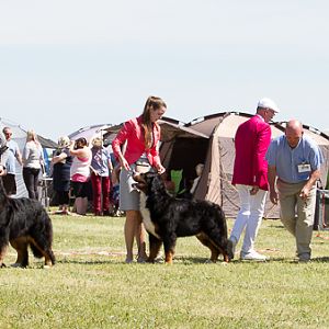 IMG_4165