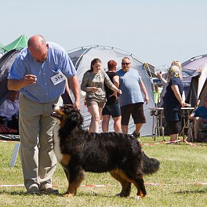 IMG_4166