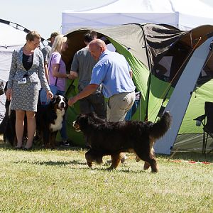 IMG_4193