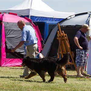 IMG_4194