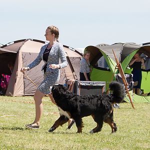 IMG_4205