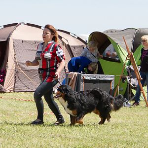 IMG_4224