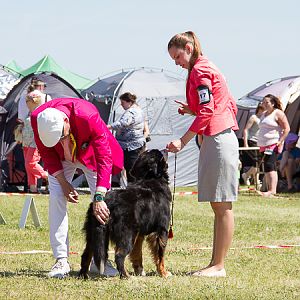 IMG_4233