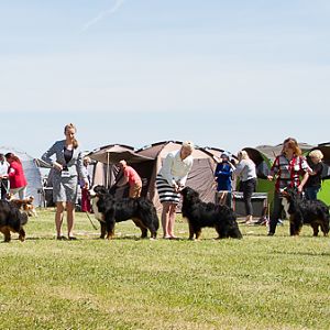 IMG_4248