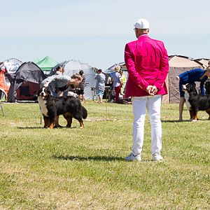 IMG_4268