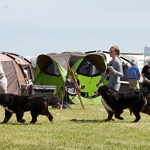 IMG_4288