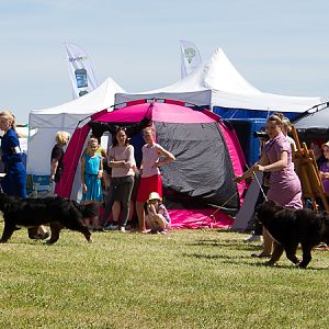 IMG_4292