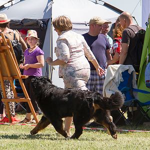 IMG_4301