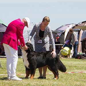 IMG_4309