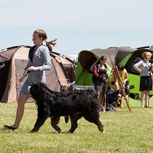 IMG_4318