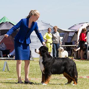 IMG_4328