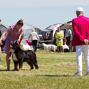 IMG_4345