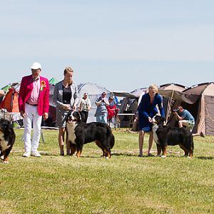 IMG_4365