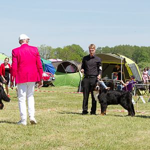 IMG_4393