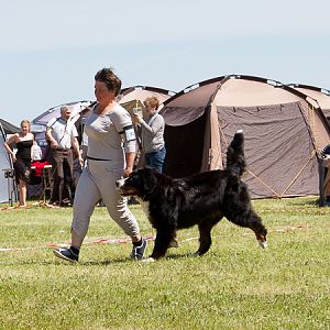 IMG_4410