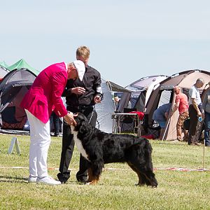 IMG_4418