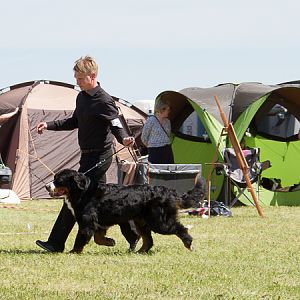 IMG_4427