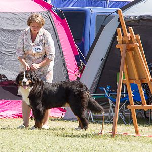 IMG_4438
