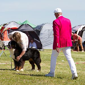 IMG_4439
