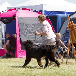 IMG_4444