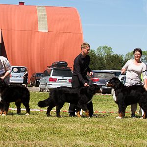 IMG_4457