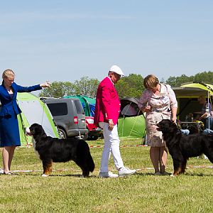 IMG_4478
