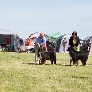 IMG_4499