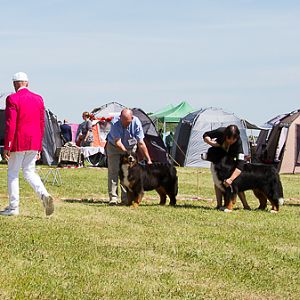IMG_4502