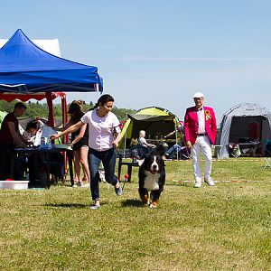 IMG_4507
