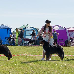 IMG_3043