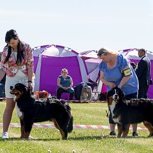 IMG_3050