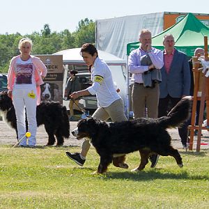 IMG_3055