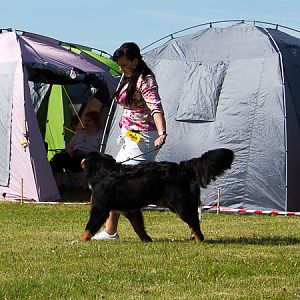 IMG_3087