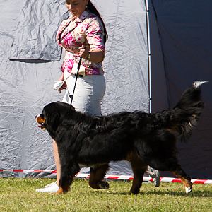 IMG_3091