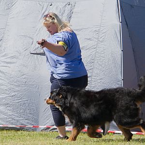 IMG_3105