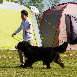 IMG_3109