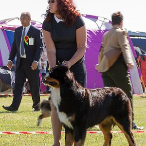 IMG_3188