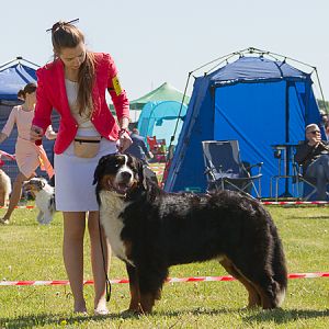 IMG_3190