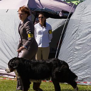 IMG_3199