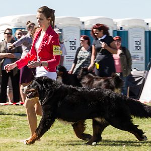 IMG_3203