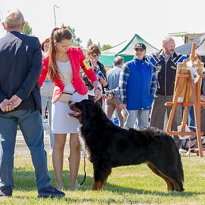 IMG_3207