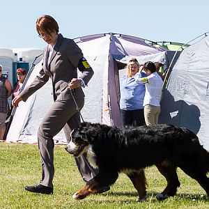 IMG_3213