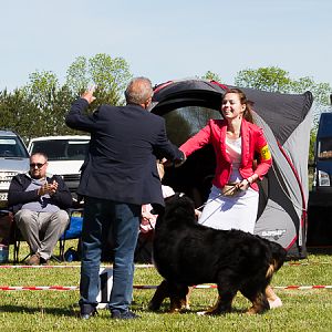 IMG_3228