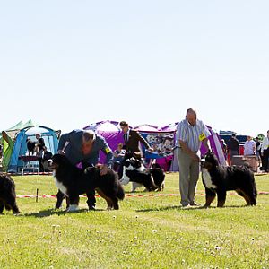 IMG_3233
