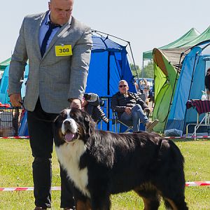 IMG_3235