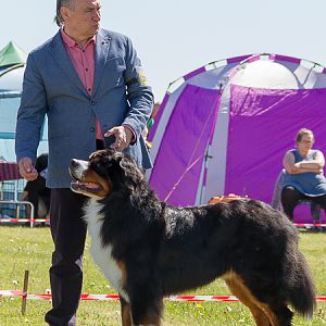 IMG_3237