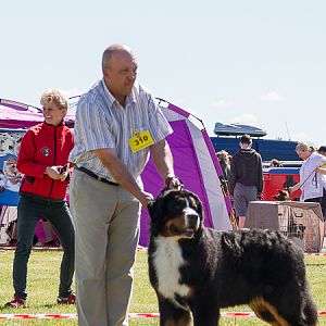 IMG_3239