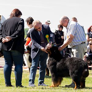 IMG_3259